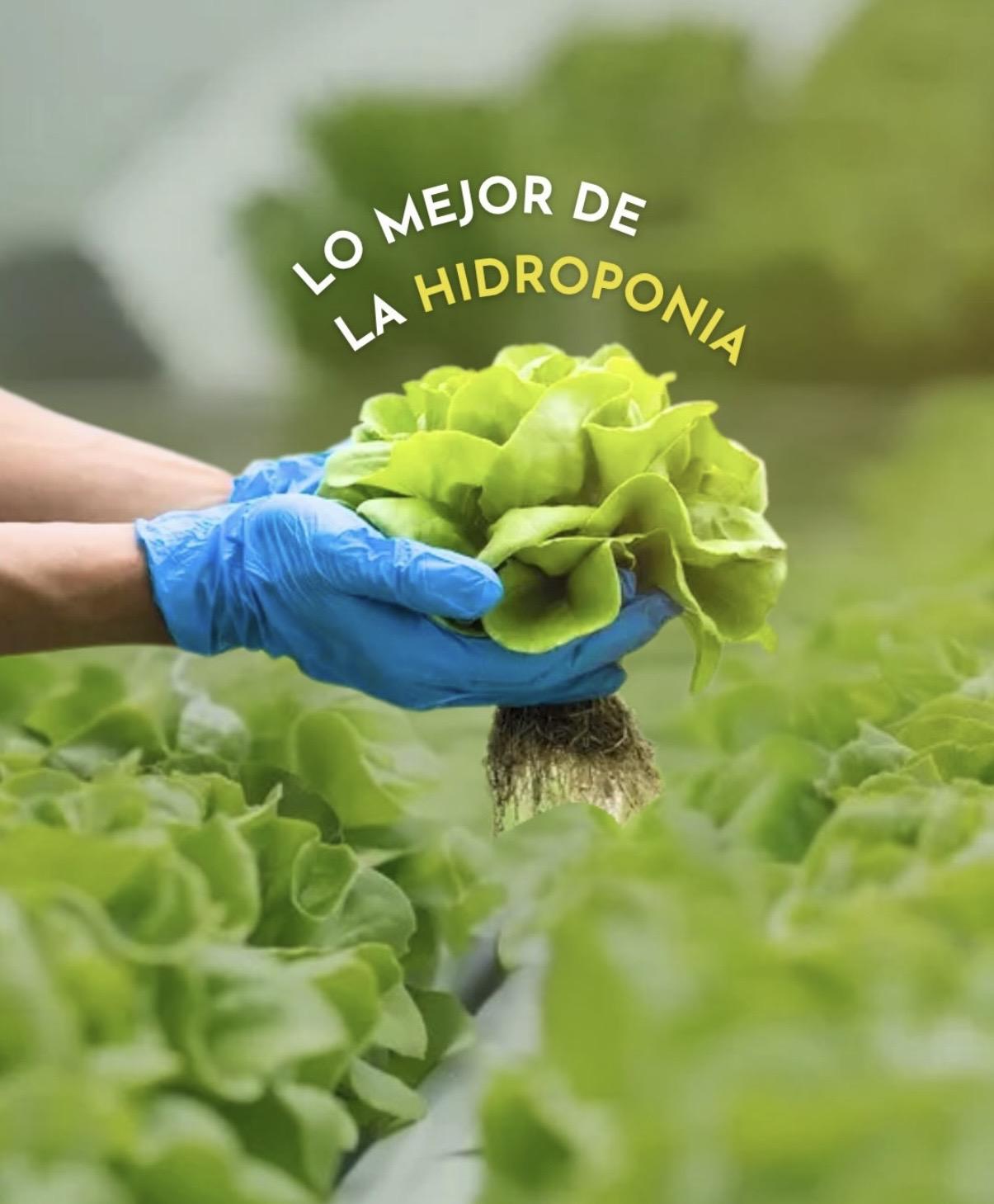Berde - Tienda de alimentación saludable.